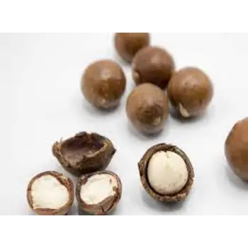 Organic Macadamia Nuts