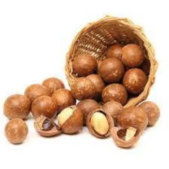 Common Macadamia Nuts