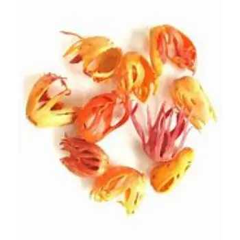common Mace Spice