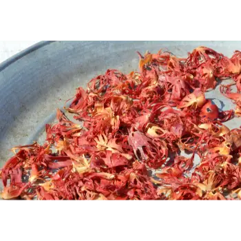 Organic Mace Spice