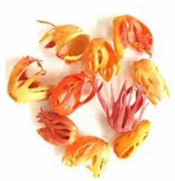 Organic Mace Spice Supplier