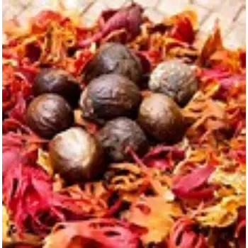 Mace Spice
