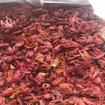 Fresh Mace Spice