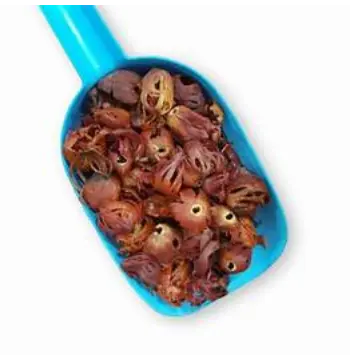 Fresh Mace Spice