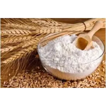Common Maida Flour