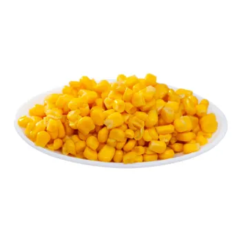 Common  Maize Seed