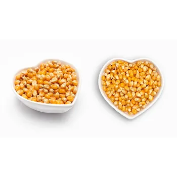 Natural Maize Seed