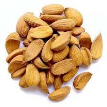 Common Mamra Almond 