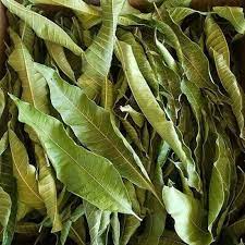 Organic Dried Mango Leaves