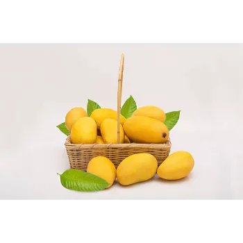 Common  Mango