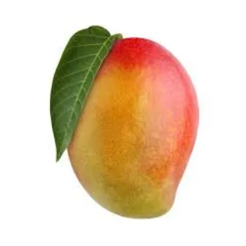 Organic Fresh Mango