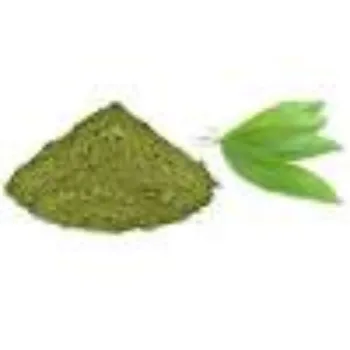 Natural Mango Leaves