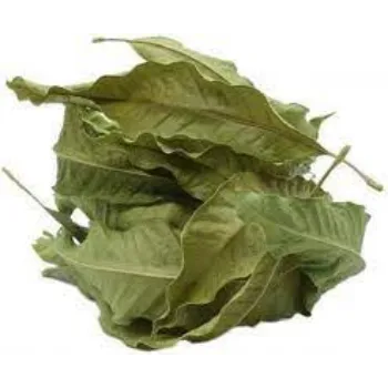 Natural Dry Mango Leaves