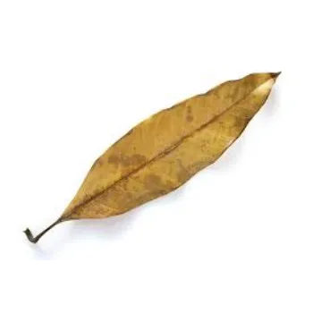 Natural Dried Mango Leaves