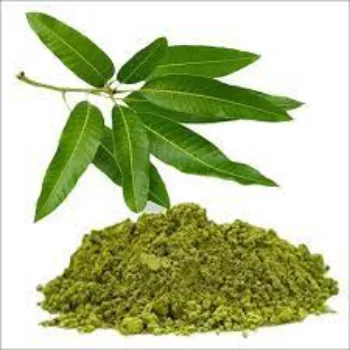 Dried Mango Leaves