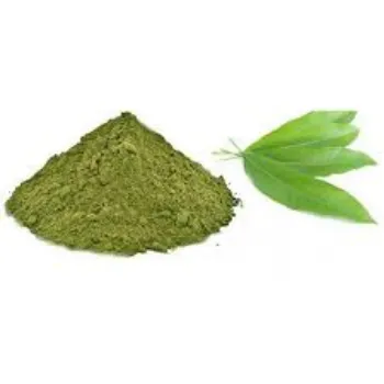 Common Mango Leaves