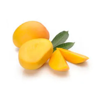 Frozen Mango Pulp
