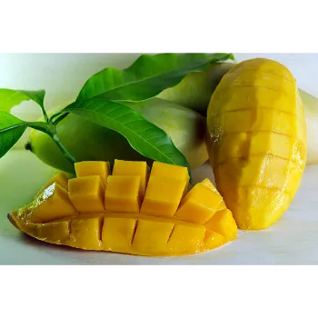 Fresh Mango Pulp