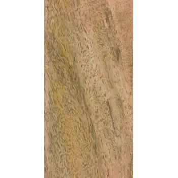 Mango Wood