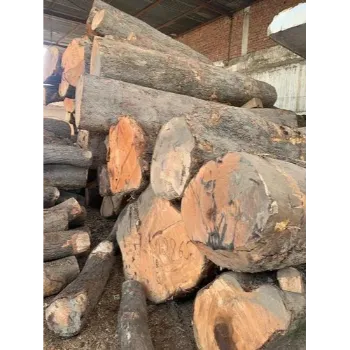 Plain Mango Wood