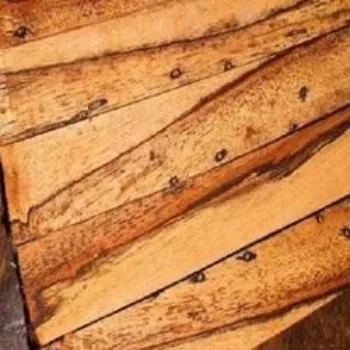 Star Mango Wood