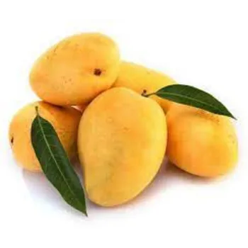 Common Fresh Mango