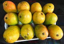 Fresh Mango