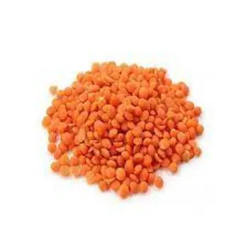 Common Masoor Dal