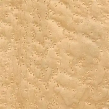 Polished Maple Veneer