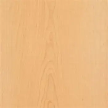 Polished Maple Veneer