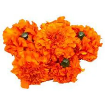 Natural Marigold Flowers