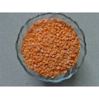 Masoor Dal