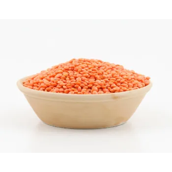 Common  Masoor Dal