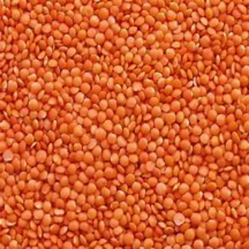 Natural red Masoor Dal