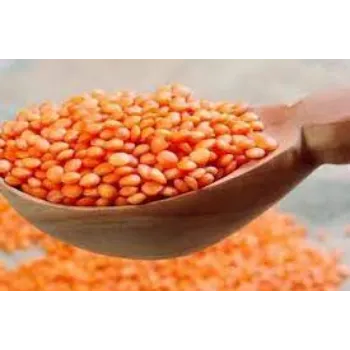 Common Masoor Dal