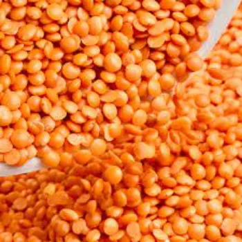 Common Masoor Dal