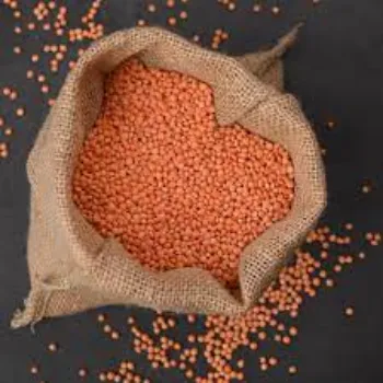 Organic Masoor Dal