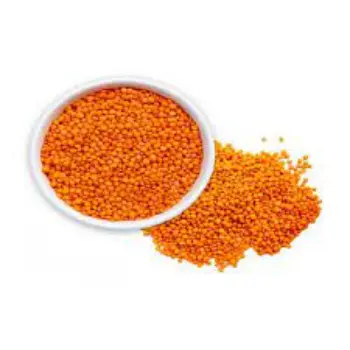 Common Masoor Dal