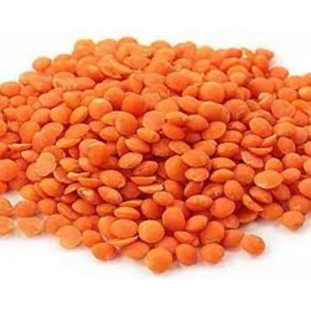 Common Masoor Dal