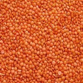 Organic Masoor Dal