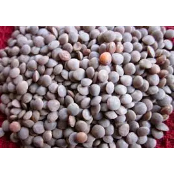 Organic Masoor Dal