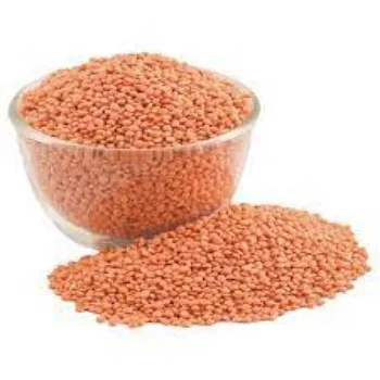 Organic Masoor Dal