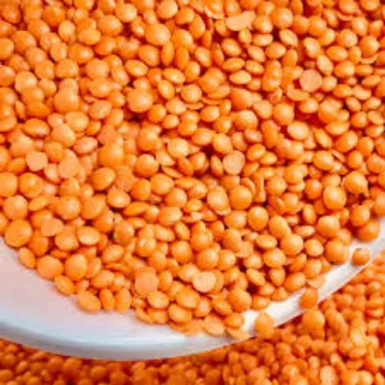 Organic Masoor Dal