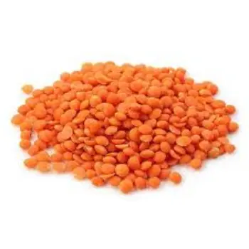 Common Masoor Dal