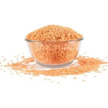 Common Masoor Dal