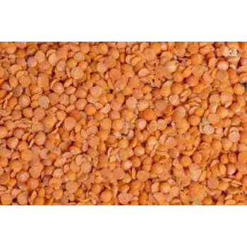 Common  Masoor Dal
