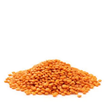 Organic Masoor  Dal