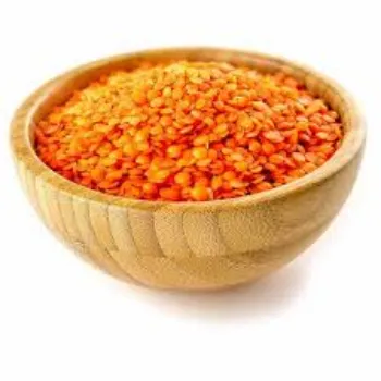 common Masoor Dal