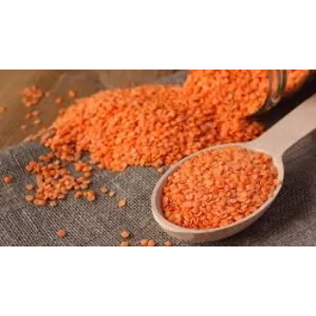 Organic Masoor Dal