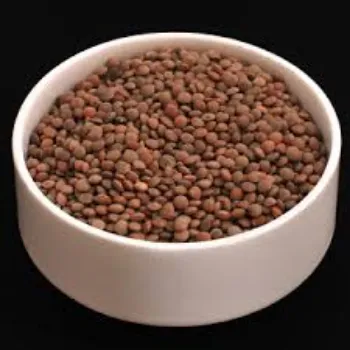 Organic Masoor  Dal